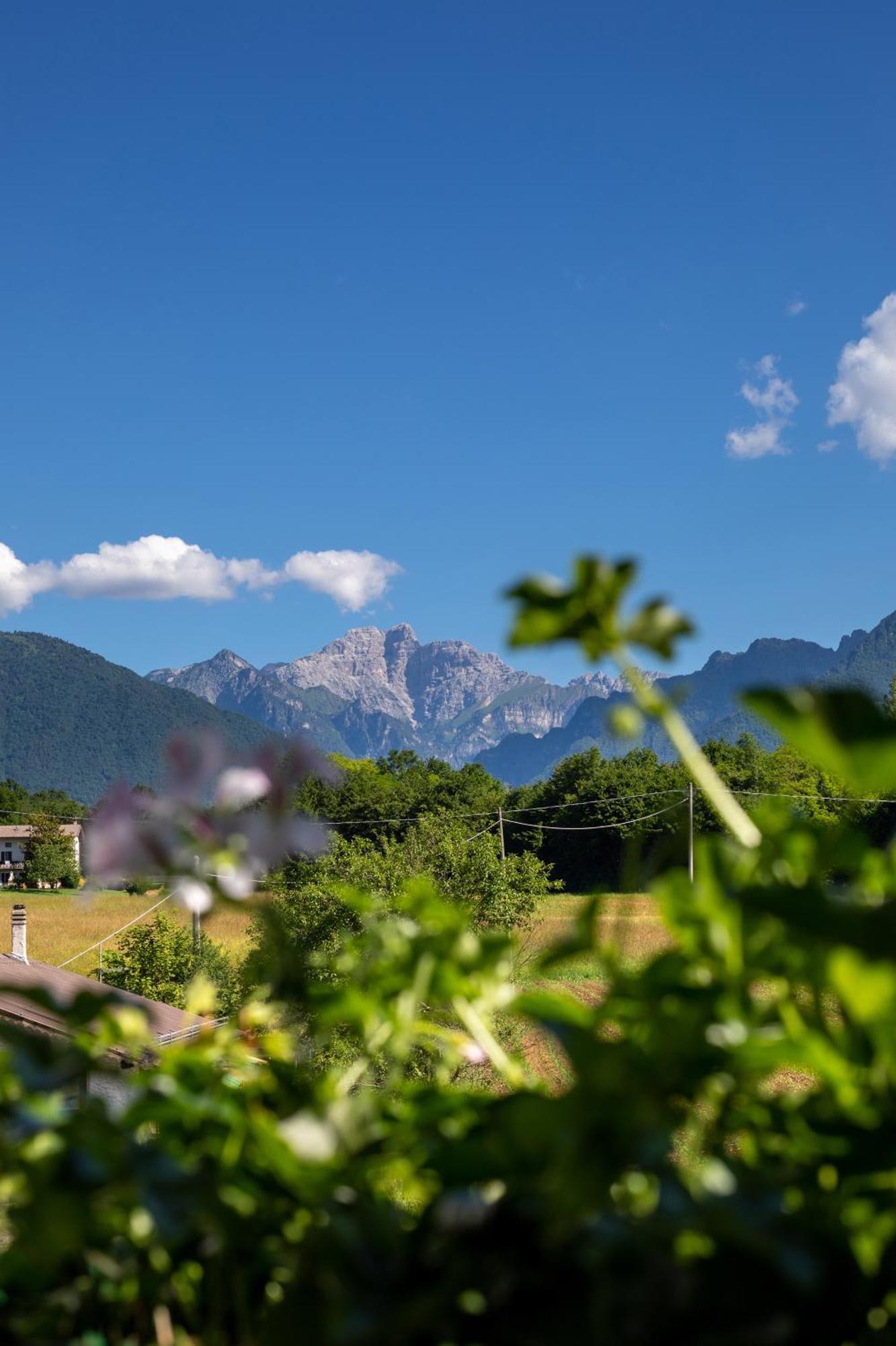 Hotel Ristorante Sagittario Feltre Luaran gambar